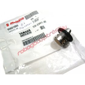 Yamaha termosztát, Madison/Majesty 250