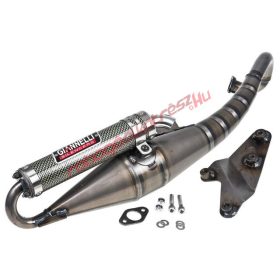 Giannelli Reverse kipufogó, Aprilia SR/Suzuki Katana