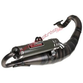 Giannelli Reverse kipufogó, Benelli 49X/ F-act Evo