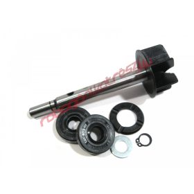 DR Vízpumpa felújító szett, Leo/Scarabeo 125