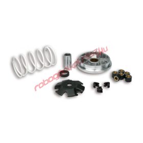 Malossi Multivar variováltó, Peugeot