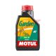 Motul Motorolaj, Garden, SAE 30