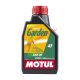 Motul Motorolaj, Garden, SAE 30, 0,6L