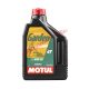 Motul Motorolaj, Garden, SAE 30, 2L