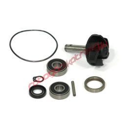 Motowell vízpumpa felújító készlet