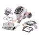 Naraku V.2 hengerszett, 50cc, Hengerfejjel, Peugeot Speedfight 3/4 LC, Jet Force C-Tech 2013-