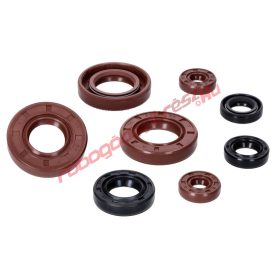   Naraku Szimering készlet, Komplett, VTS Premium, Piaggio / Derbi D50B0