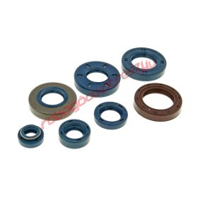   Naraku komplett szimering szett, Minarelli AM, Generic, KSR-Moto, Keeway, Motobi, Ride, CPI, 1E40MA, 1E40MB