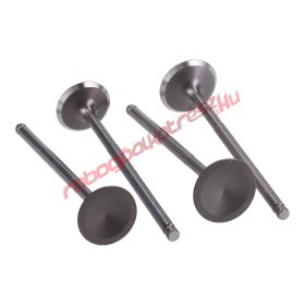 Naraku szelepkészlet, 21/23, Yamaha X-Max, YZF, WR 125 4V