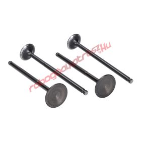   Naraku szelep szett, 19/22, Yamaha X-Max, YZF, WR 125 4V (YI-3 OHC vezérlés)