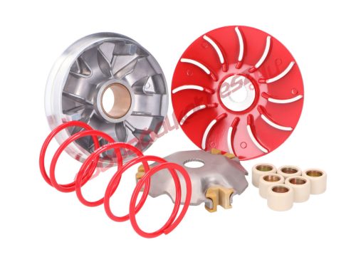 Naraku variátor szett, Maxi speed, Piaggio Fly, Liberty, Vespa Primavera, Sprint, LX, S 125i, 150i 3V